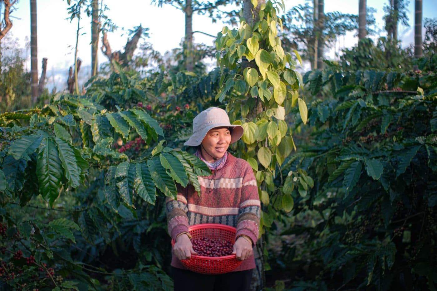 Every Half Coffee Roasters — Pasteur
