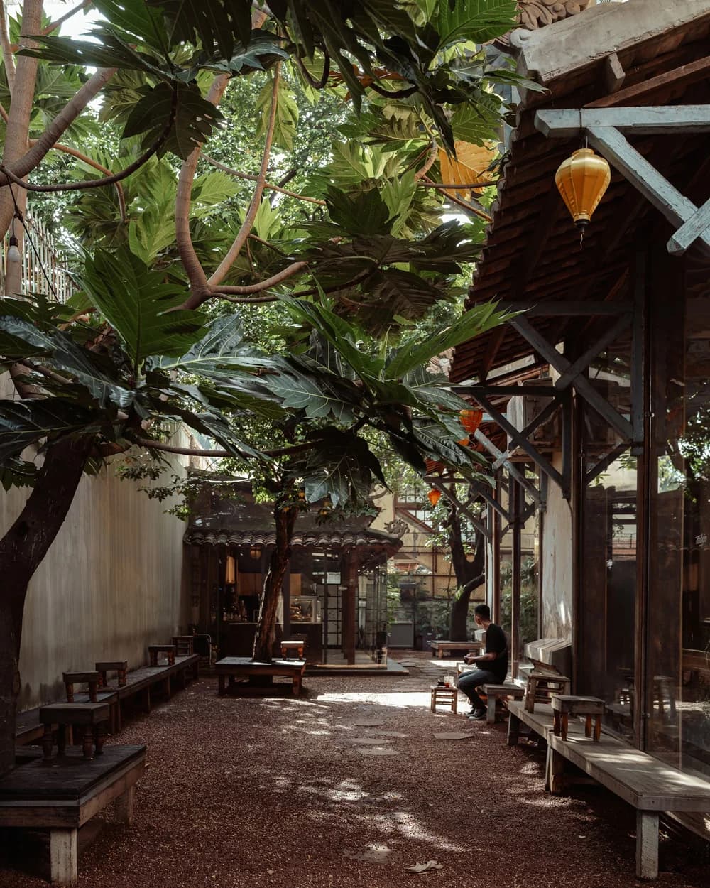 Dabao Concept - Cố Đô — photo 3