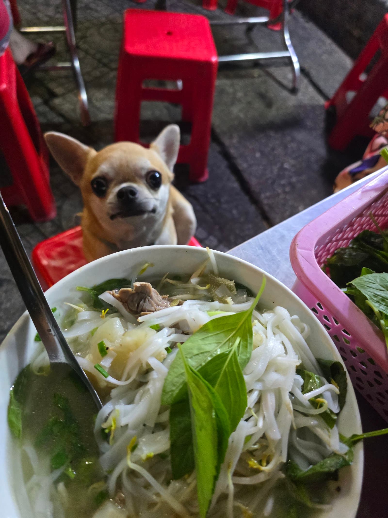 퍼 보 비엔 헌 흥 — photo 4