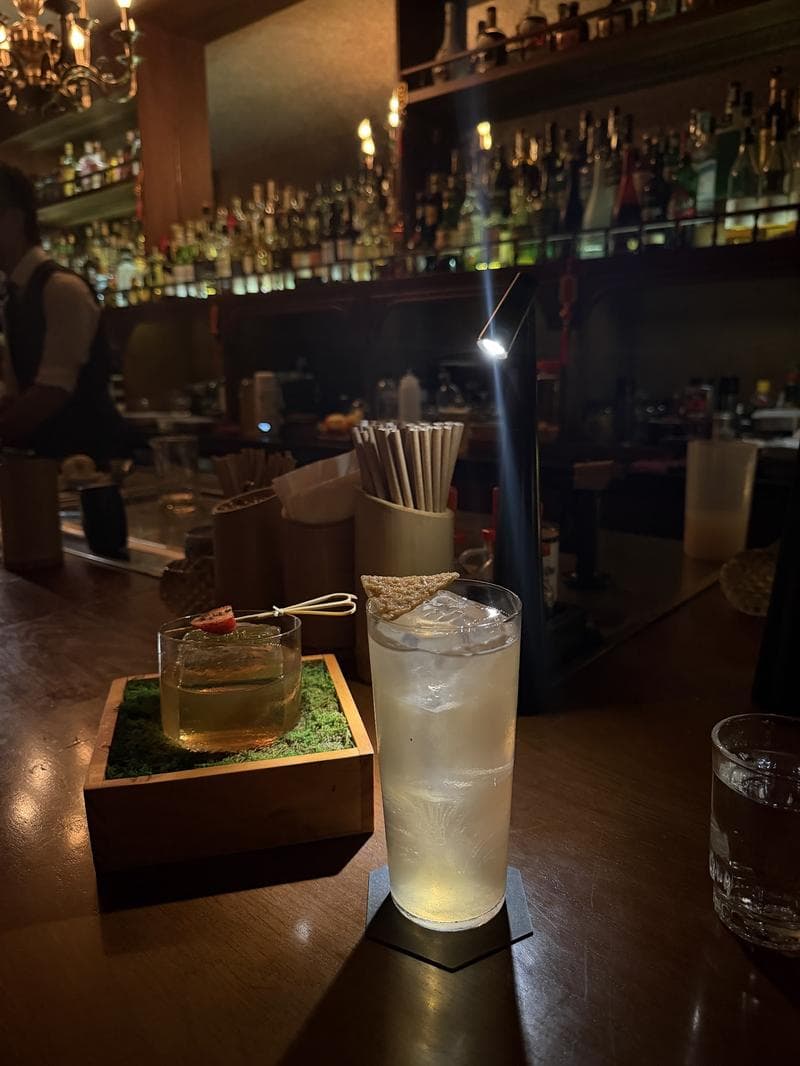 STIR - Modern Classic Cocktail — photo 8