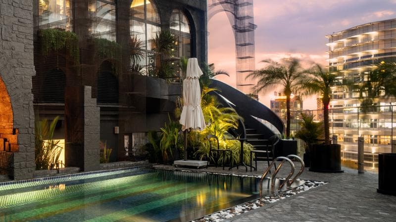 The Palm — photo 1