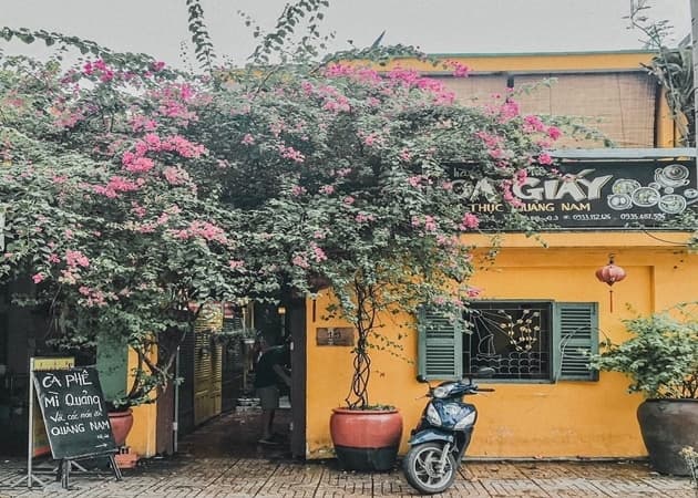 Tiệm Cà Phê Hoa Giấy — photo 1