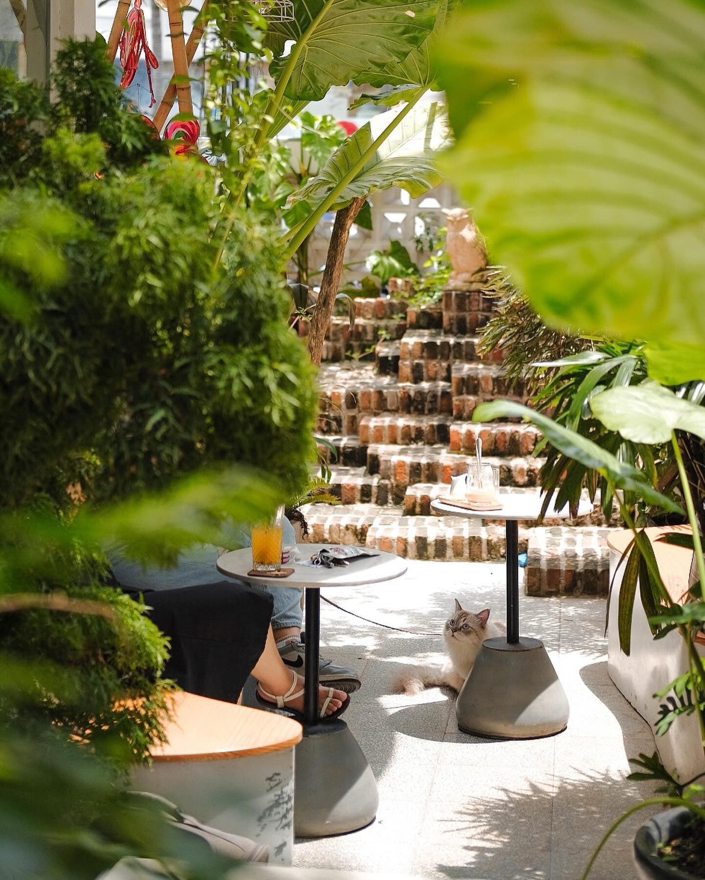 Oromia Coffee & Lounge — photo 1