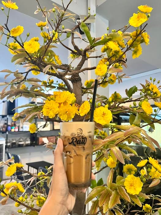 Râu Coffee — photo 4
