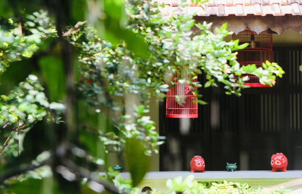 Bếp Nhà Lục Tỉnh Interior