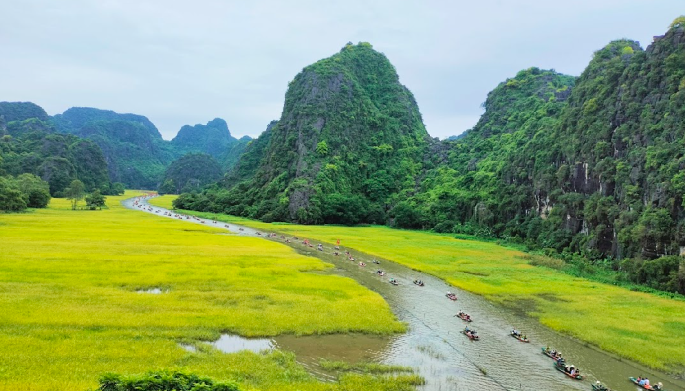 Ninh Binh Landscape