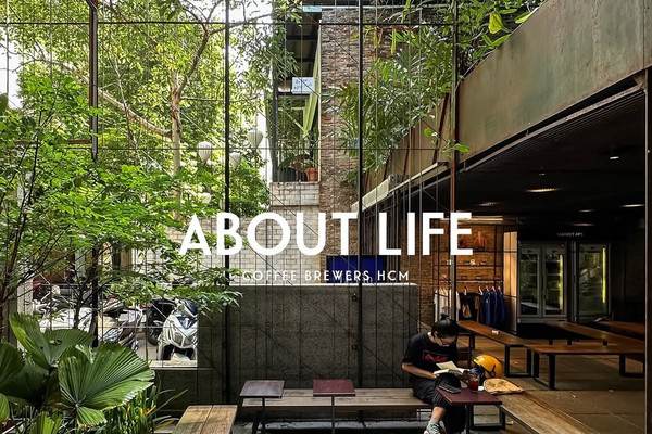 ABOUT LIFE COFFEE BREWERS HCM — the leafy courtyard with wooden tables and benches