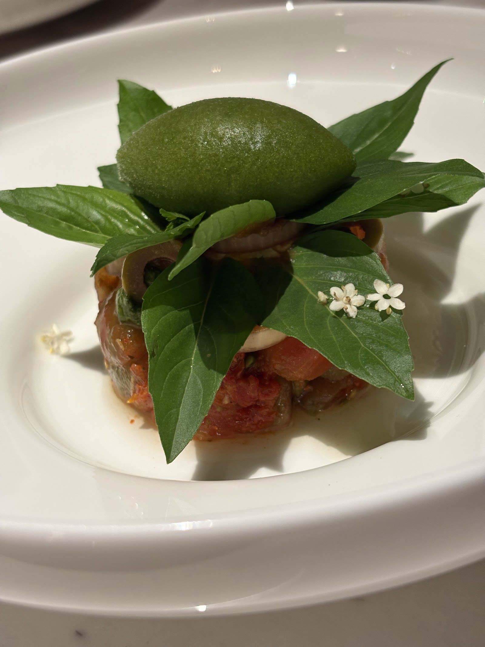 Tomato, basil and sorbet