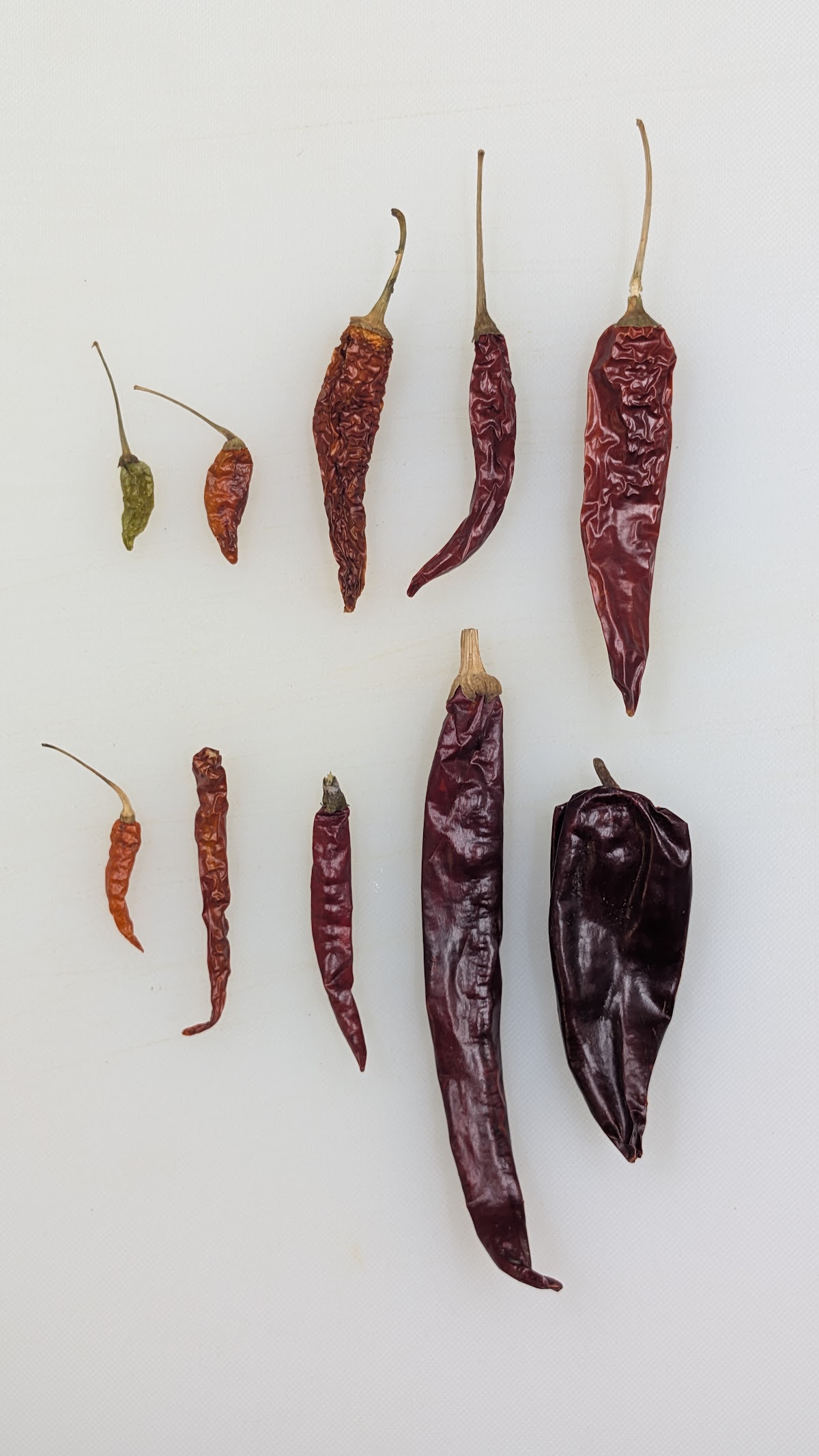 Dried chilies, the kitchen's heat