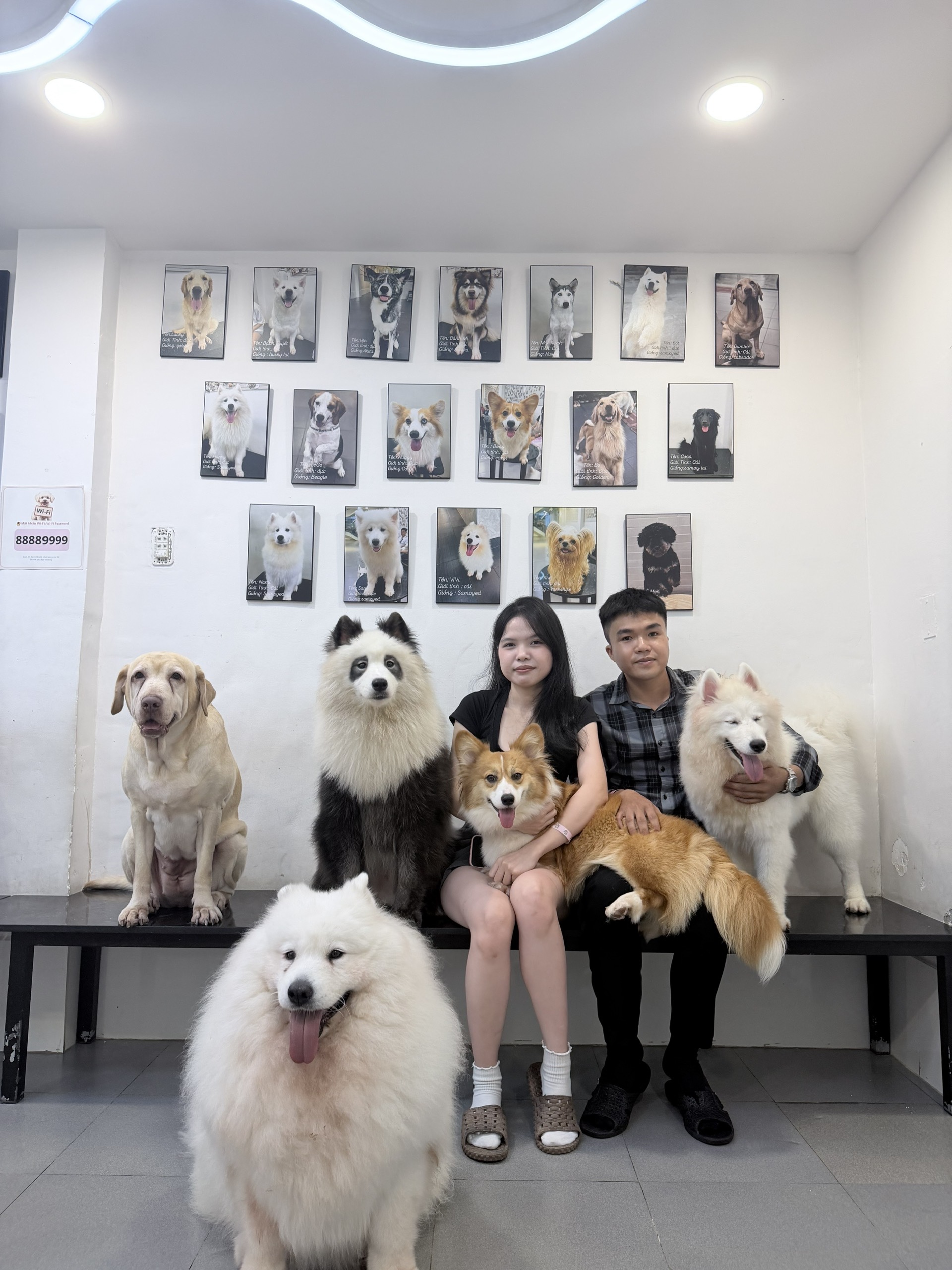 The real 18-portrait staff-dog wall
