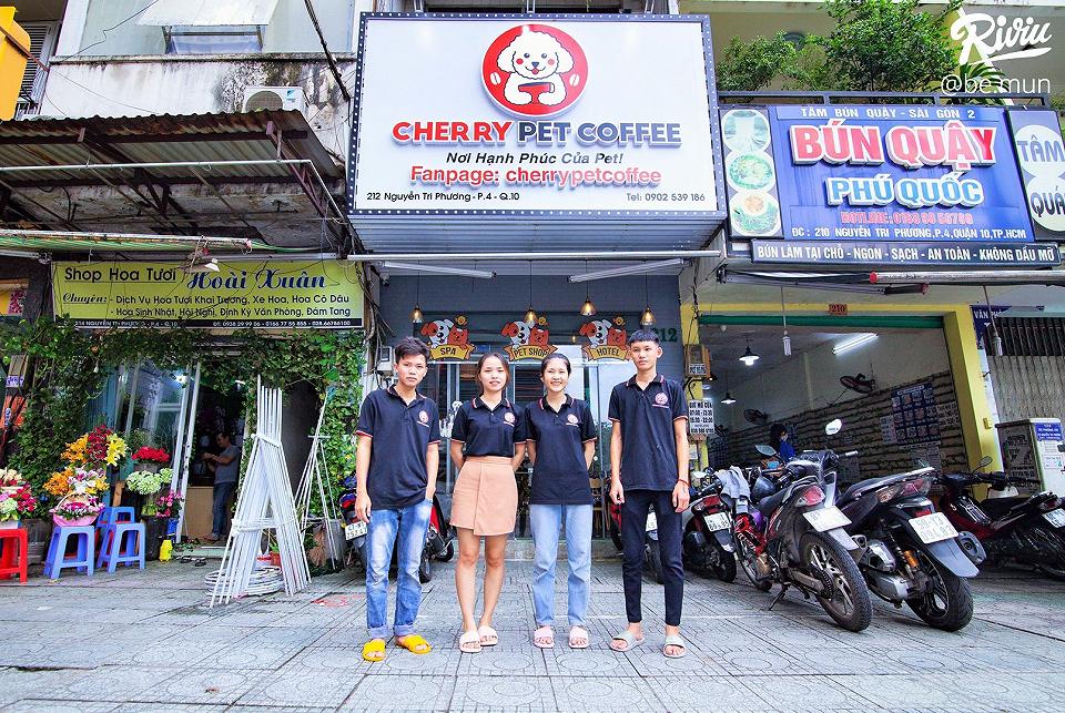 Cherry Pet Coffee 팀