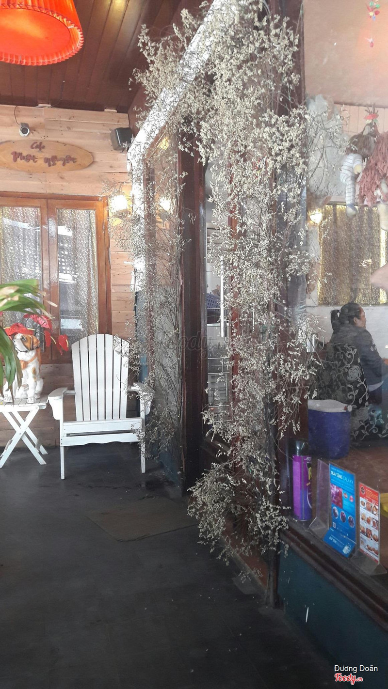 입구의 나무 'Cafe Nhat Nguyet' 간판