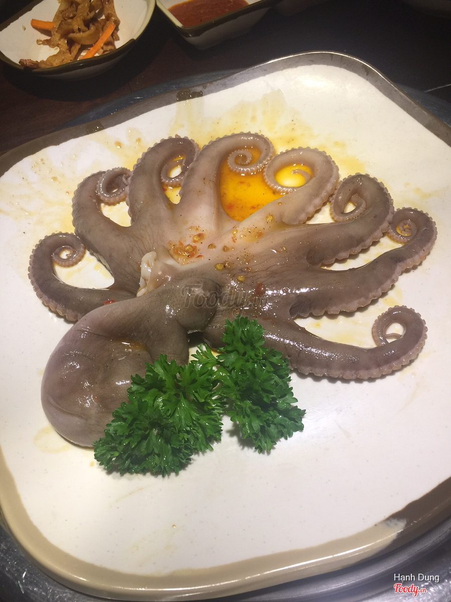 대왕 문어