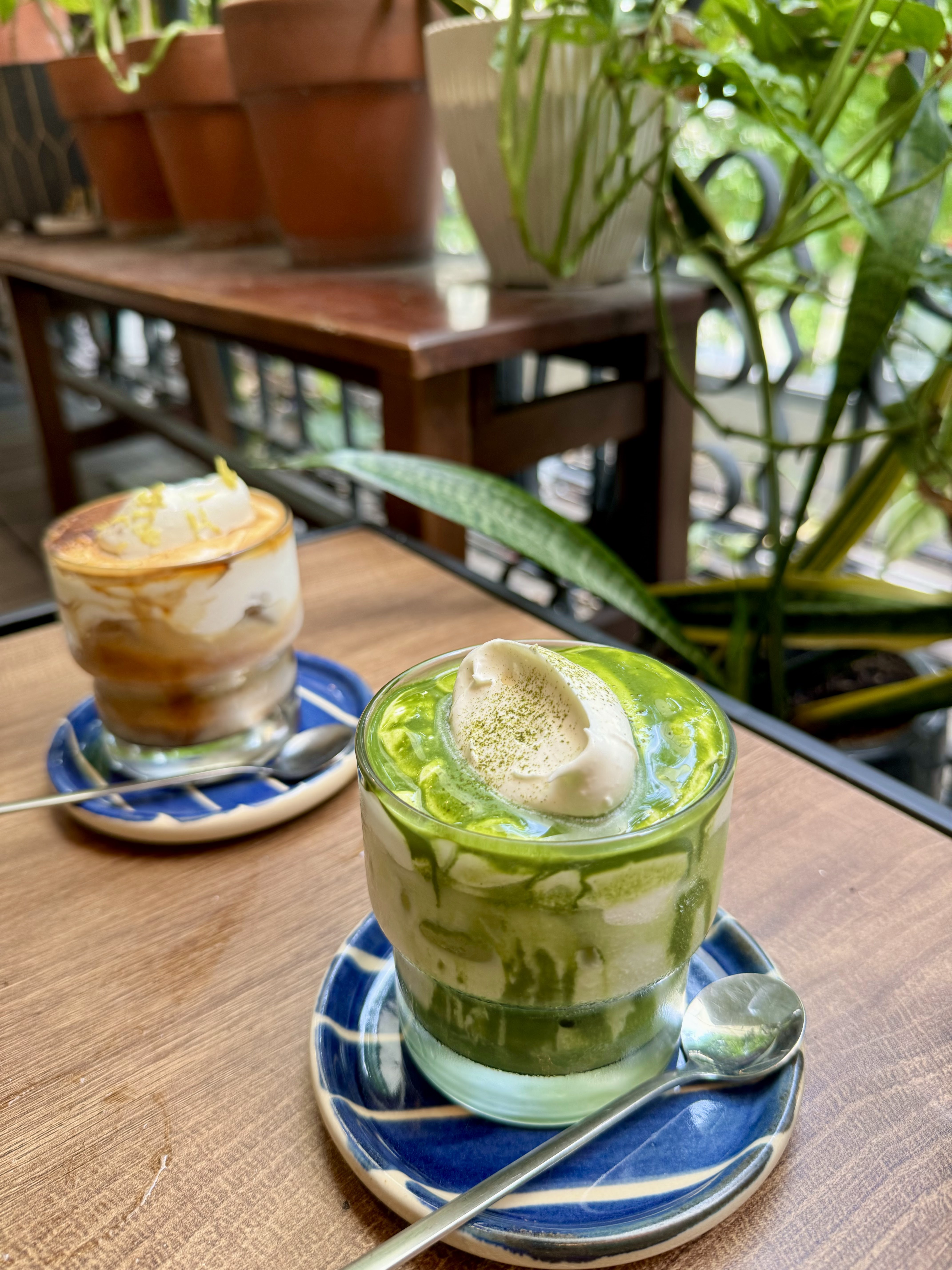 Cà phê cốt dừa và matcha trên sân thượng cây xanh