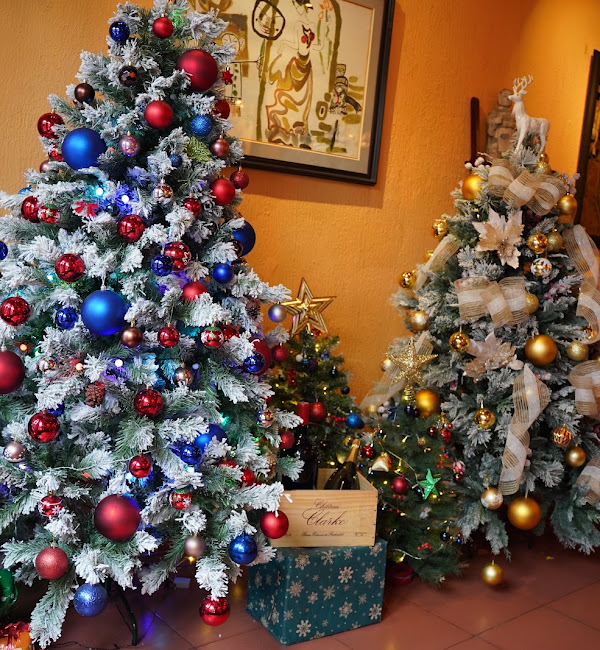 A cozy corner with decorative lights — an owner photo