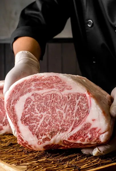 An A5 ribeye cross-section, marbling held in a gloved hand