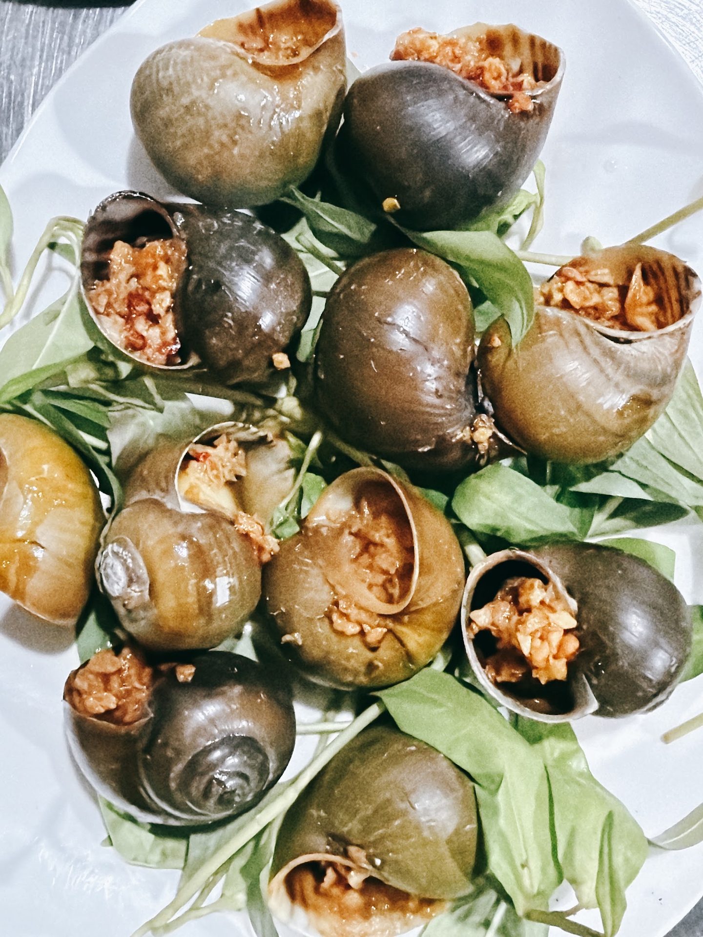 Stuffed snails at Oc Nga 111