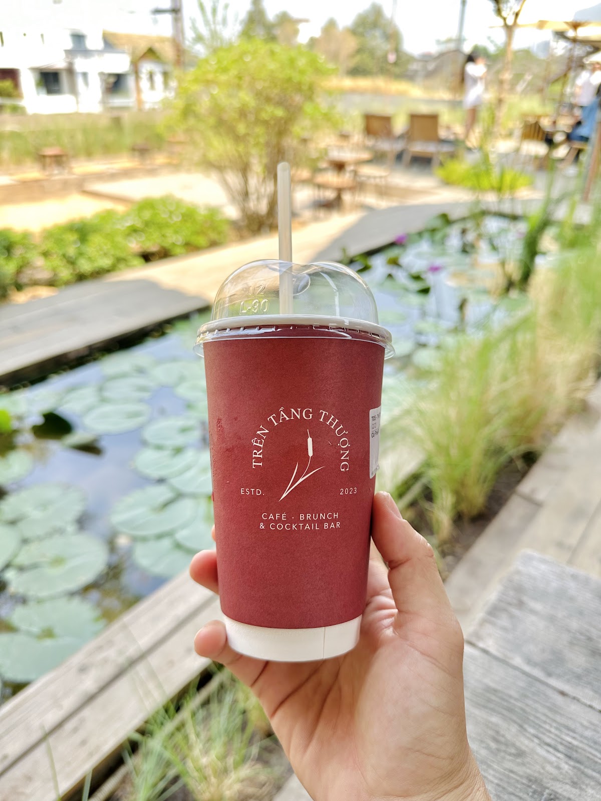 Ly logo bên hồ sen