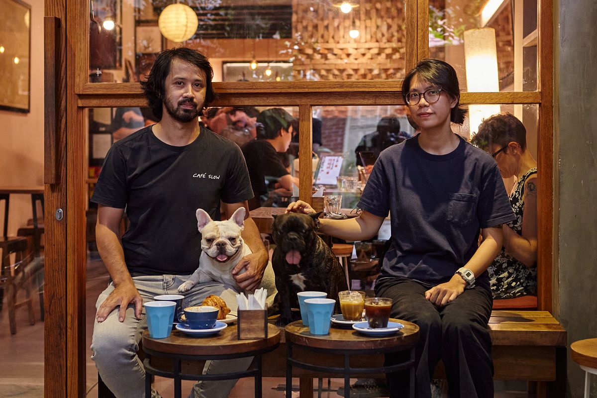 Café Slow 앞 벽돌 중정: 보리수, 그루터기 의자, 따뜻한 목재 프레임 유리 전면