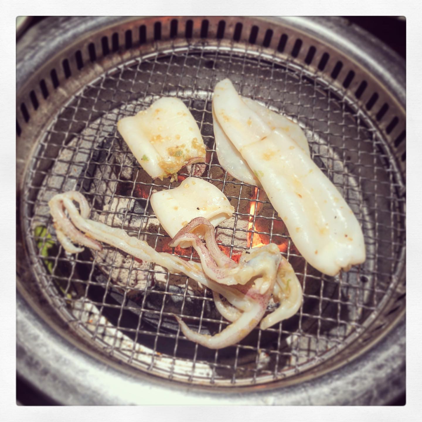 숯불에 구워지는 오징어 — 가게의 숯불 화로