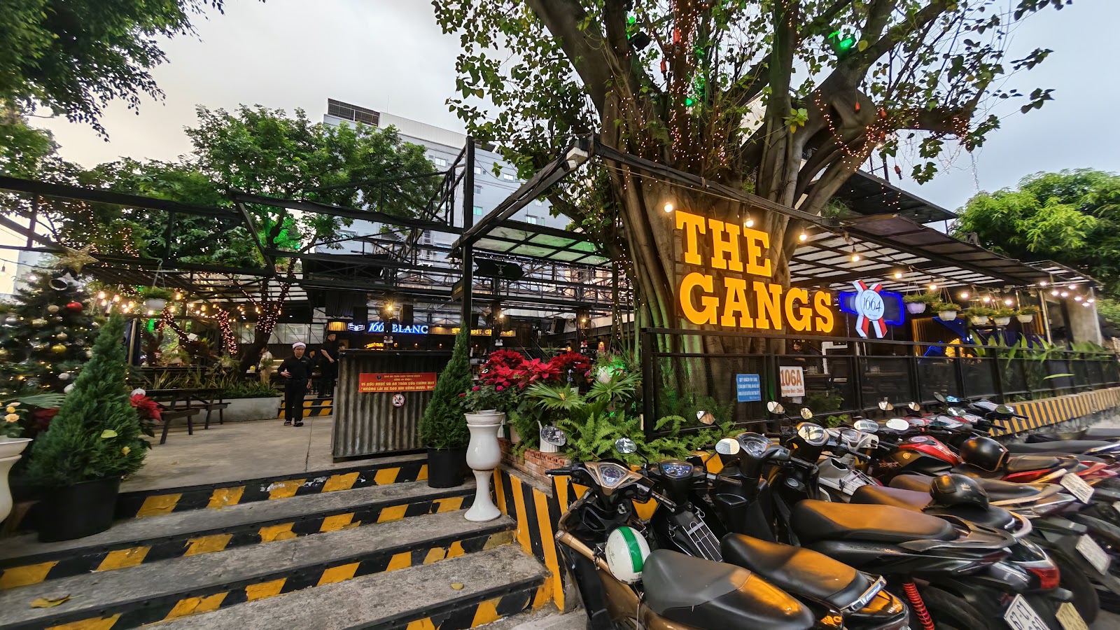 Cổng vào The Gangs với biển hiệu vàng về đêm