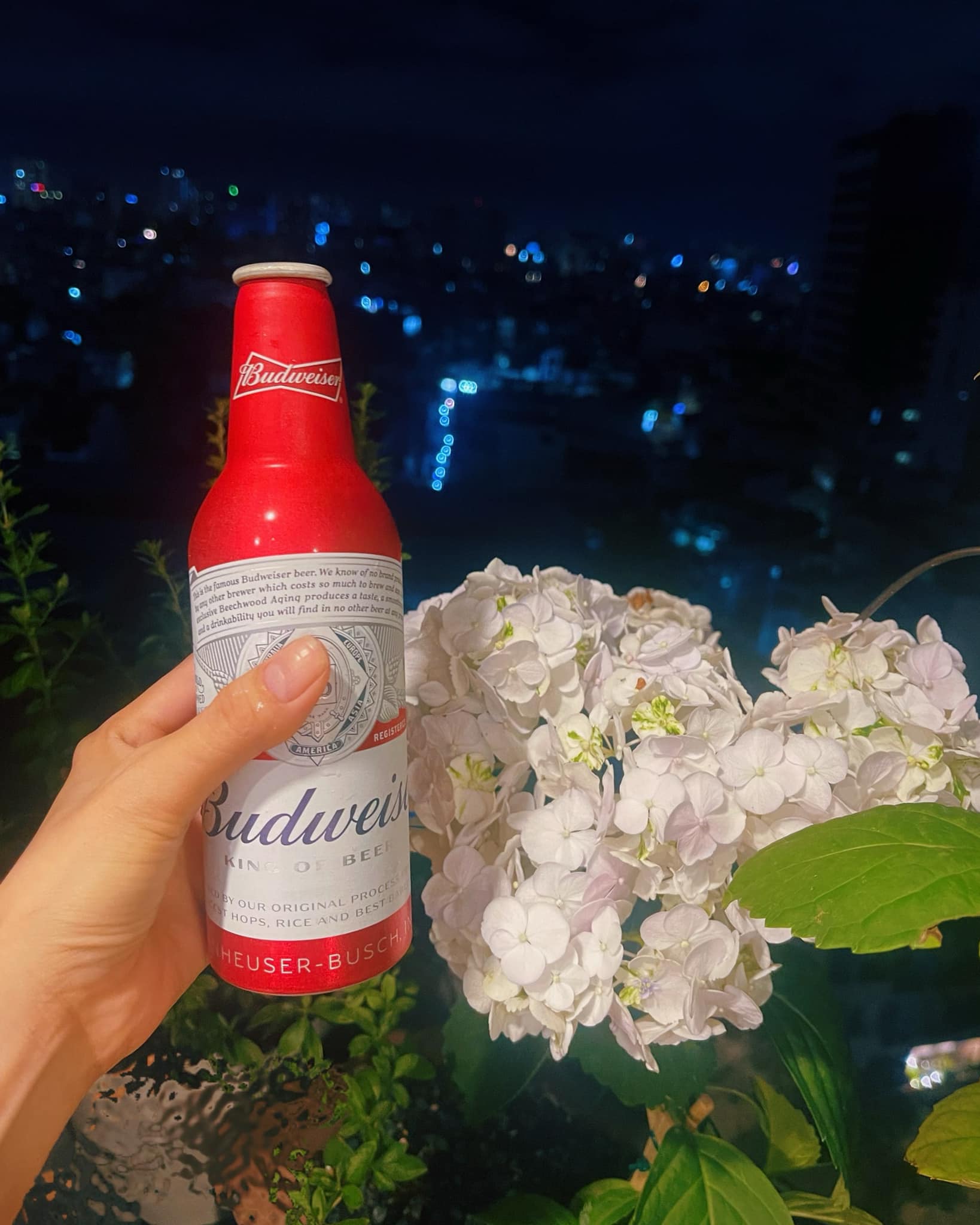 밤 도시 불빛 속 맥주병